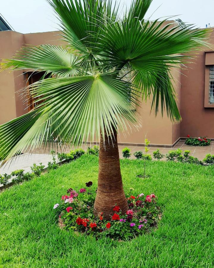 Tamraght House Banana Apartamento Aourir Exterior foto